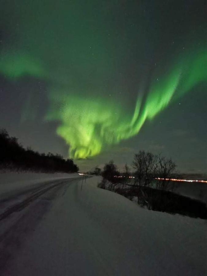 Aurora Rooms In Shared Hsuse Nr3 We Are Doing Northen Lights Trip, Reaindear Trip And Sommaroy Fjord Trips Tromsø Exterior foto